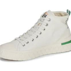 Palladium - PALLA ACE CHUKKA ORG
