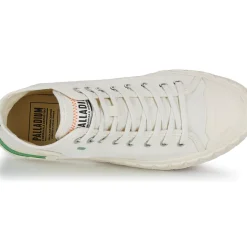 Palladium - PALLA ACE CHUKKA ORG