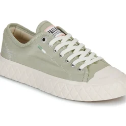 Palladium - PALLA ACE CVS