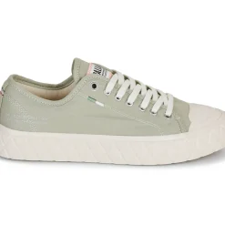 Palladium - PALLA ACE CVS