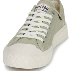 Palladium - PALLA ACE CVS