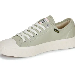 Palladium - PALLA ACE CVS
