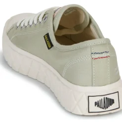 Palladium - PALLA ACE CVS