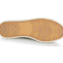 Palladium - PALLA ACE CVS