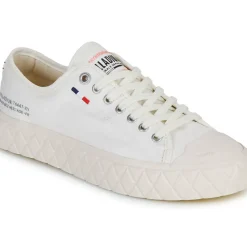 Palladium - PALLA ACE CVS