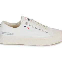 Palladium - PALLA ACE CVS
