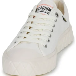 Palladium - PALLA ACE CVS