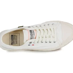 Palladium - PALLA ACE CVS