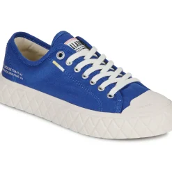 Palladium - PALLA ACE CVS ORG