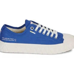 Palladium - PALLA ACE CVS ORG