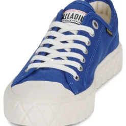 Palladium - PALLA ACE CVS ORG