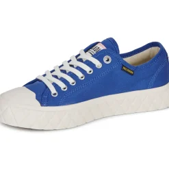 Palladium - PALLA ACE CVS ORG