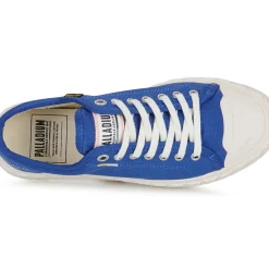 Palladium - PALLA ACE CVS ORG
