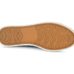 Palladium - PALLA ACE CVS ORG