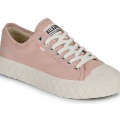 Palladium - PALLA ACE CVS ORG