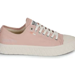 Palladium - PALLA ACE CVS ORG