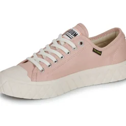 Palladium - PALLA ACE CVS ORG