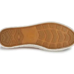 Palladium - PALLA ACE CVS ORG