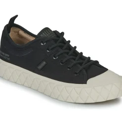 Palladium - PALLA ACE LO SUPPLY