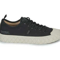 Palladium - PALLA ACE LO SUPPLY