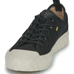 Palladium - PALLA ACE LO SUPPLY