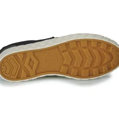Palladium - PALLA ACE LO SUPPLY