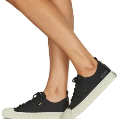Palladium - PALLA ACE LO SUPPLY