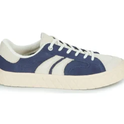 Palladium - PALLA ACE SDE