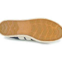 Palladium - PALLA ACE SDE