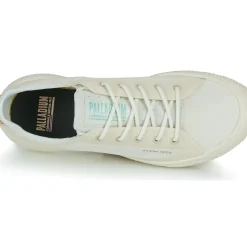 Palladium - PALLANOVA CVS
