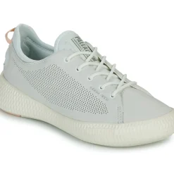 Palladium - PALLANOVA LTH