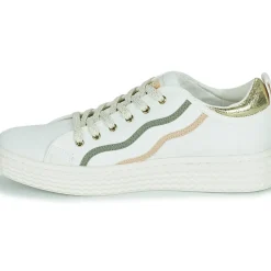 Palladium - PALLATEMPO 02 CVS