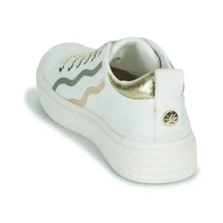 Palladium - PALLATEMPO 02 CVS