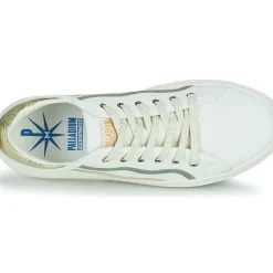 Palladium - PALLATEMPO 02 CVS