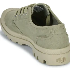 Palladium - PAMPA OX