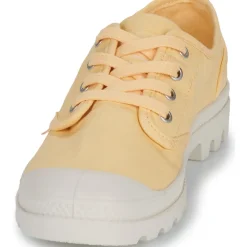 Palladium - PAMPA OX