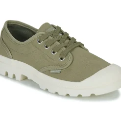 Palladium - PAMPA OXFORD