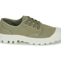 Palladium - PAMPA OXFORD