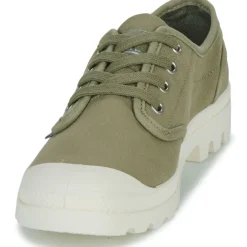 Palladium - PAMPA OXFORD