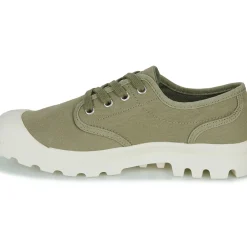 Palladium - PAMPA OXFORD