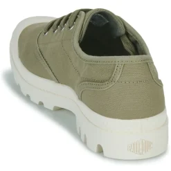 Palladium - PAMPA OXFORD