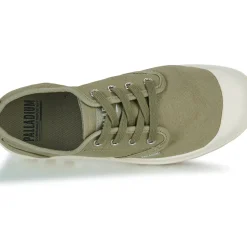 Palladium - PAMPA OXFORD