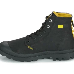 Palladium - PAMPA SURPLUS