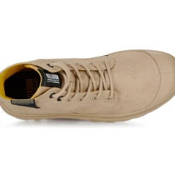 Palladium - PAMPA SURPLUS