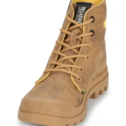 Palladium - PAMPA SURPLUS