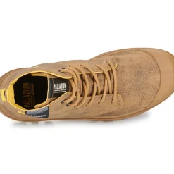 Palladium - PAMPA SURPLUS