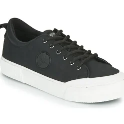 Palladium - STUDIO 02