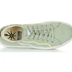 Palladium - TEMPO 02 CVS~VERVEINE~M