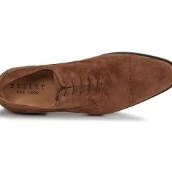 Pellet - ALEX