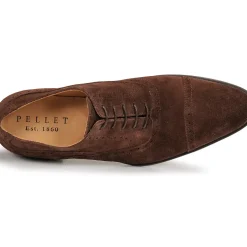 Pellet - ALEX